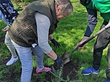 Posadzili drzewa w Słupicach