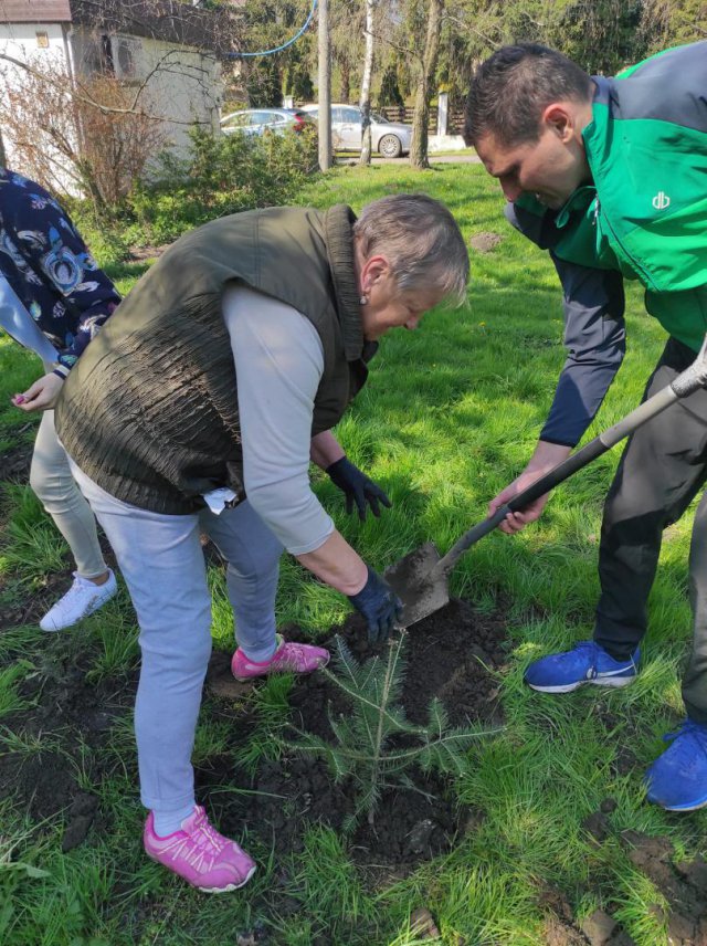 Posadzili drzewa w Słupicach