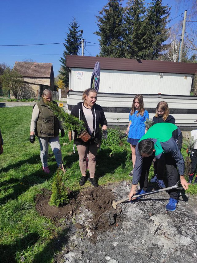 Posadzili drzewa w Słupicach