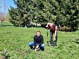 Posadzili drzewa w Słupicach