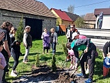 Posadzili drzewa w Słupicach