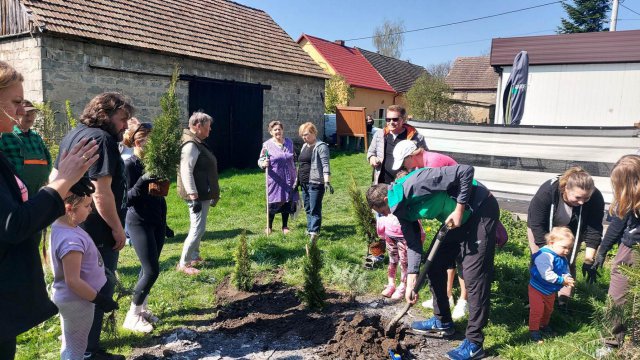 Posadzili drzewa w Słupicach