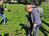 Posadzili drzewa w Słupicach