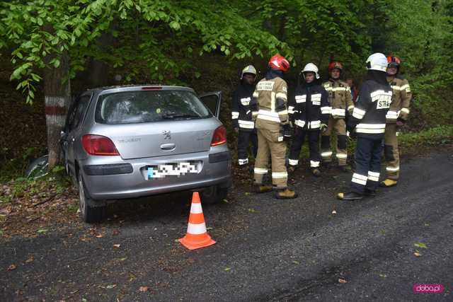 18-latka uderzyła samochodem w drzewo. Akcja ratunkowa na drodze Rościszów - Walim!