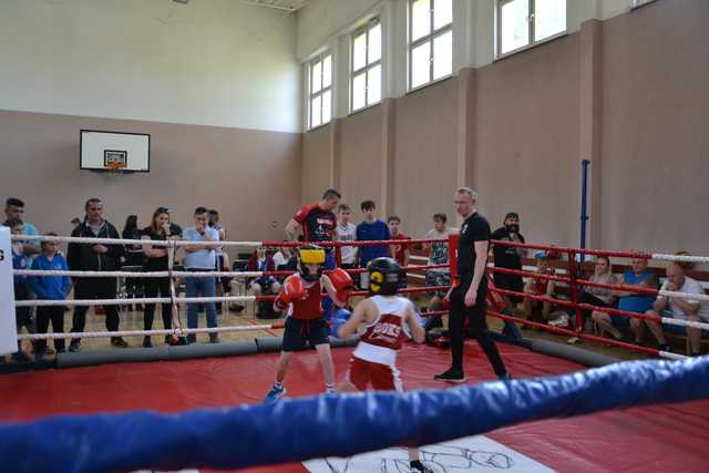 Boks Ciszewski Sparing-szansa dla każdego