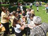 Piknik szkolny z okazji Dnia Dziecka w Piławie Górnej