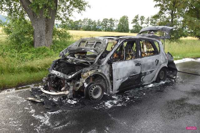 Pożar samochodu na granicy powiatów dzierżoniowskiego i świdnickiego
