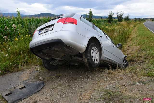 Audi wypadło z drogi Bielawa - Pieszyce