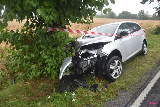 Fordem uderzył w drzewo na drodze Dzierżoniów - Świdnica