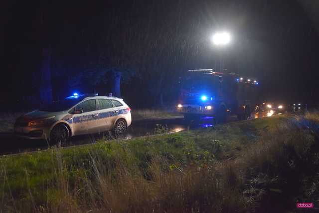 Wypadek na drodze Pieszyce - Piskorzów