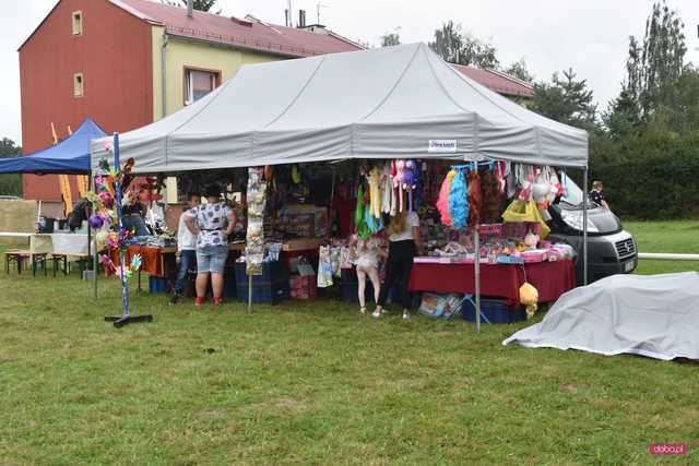 Dożynki Gminy Dzierżoniów w Piławie Dolnej