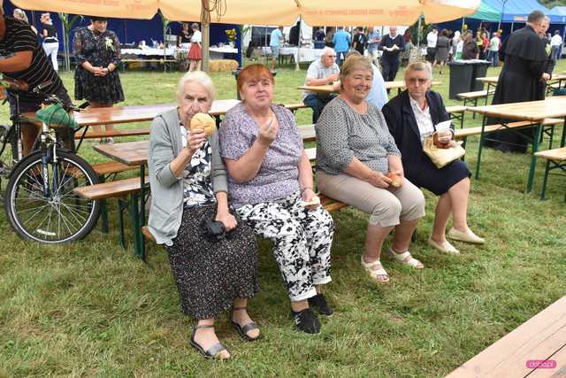 Dożynki Gminy Dzierżoniów w Piławie Dolnej