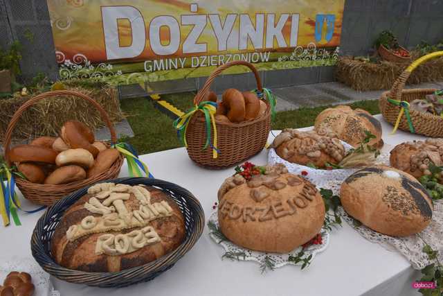 Dożynki Gminy Dzierżoniów w Piławie Dolnej
