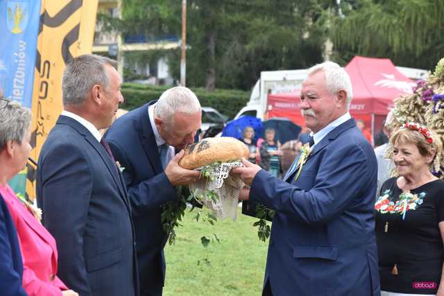 Dożynki Gminy Dzierżoniów w Piławie Dolnej