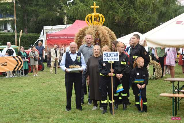 Dożynki Gminy Dzierżoniów w Piławie Dolnej