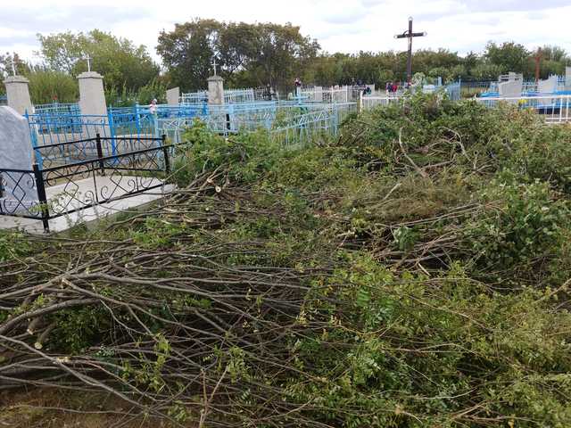 Mogiłę pradziada ocal od zapomnienia