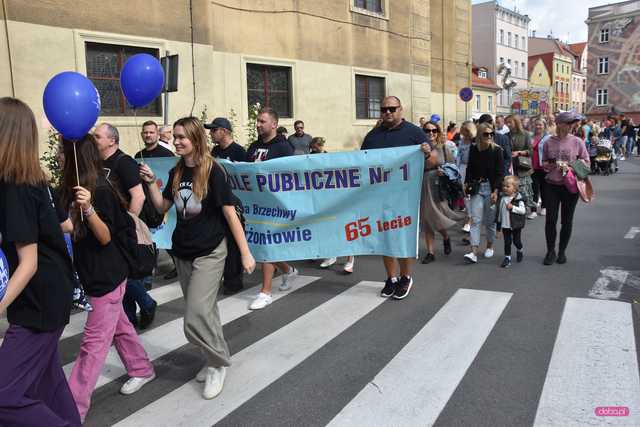 Wielka parada organizacji pozarządowych w Dzierżoniowie