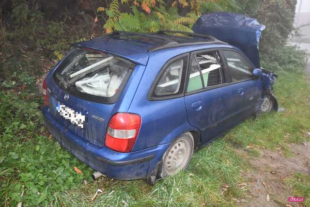 Mazdą wjechał w ogrodzenie w Piławie Dolnej
