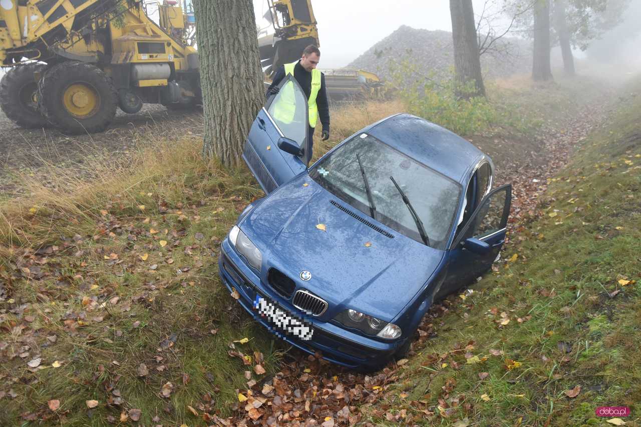 BMW wypadło z drogi Dzierżoniów - Uciechów