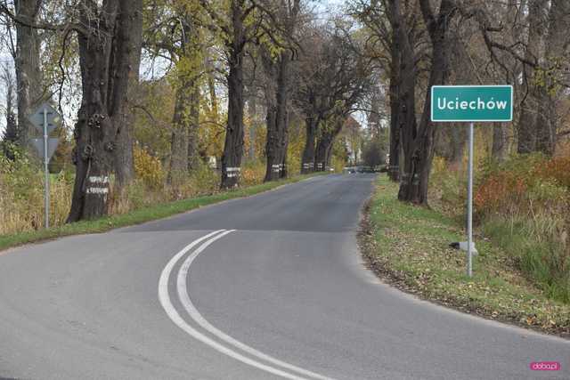 Była droga do Wrocławia w Uciechowie będzie remontowana