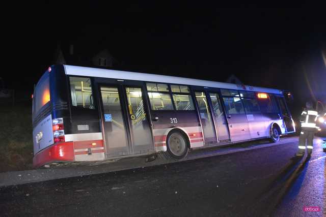 Autobus wypadł z drogi Niemcza - Dzierżoniów