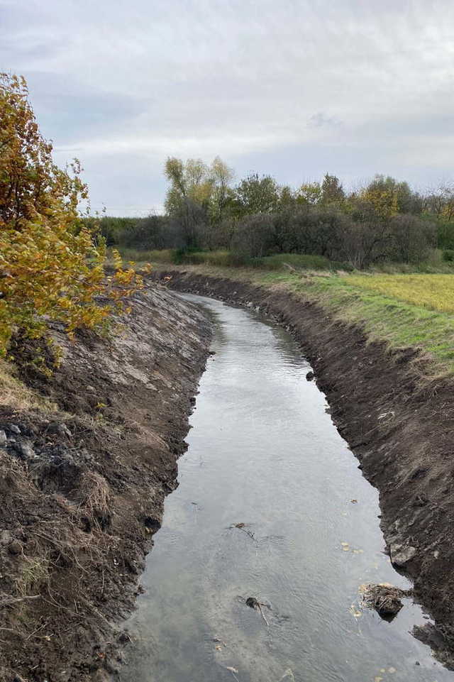 Gmina Dzierżoniów: udrożnienie rzeki Piławy