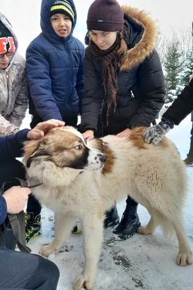 Uczniowie z Tuszyna i Ostroszowic w schronisku Azyl