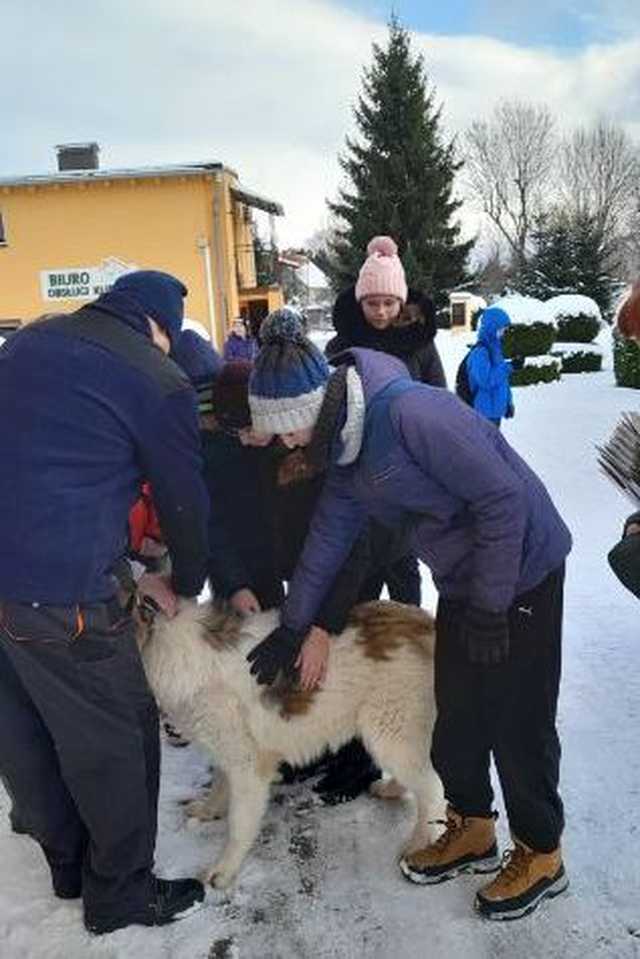 Uczniowie z Tuszyna i Ostroszowic w schronisku Azyl