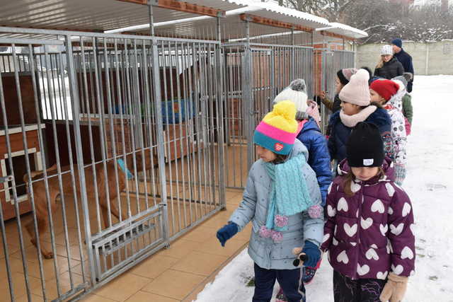 Uczniowie z Tuszyna i Ostroszowic w schronisku Azyl