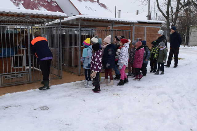 Uczniowie z Tuszyna i Ostroszowic w schronisku Azyl