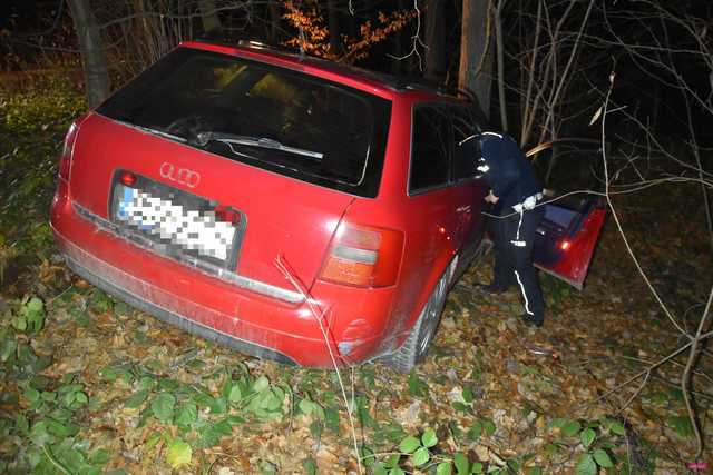 Audi uderzyło w drzewo na drodze Piława Górna - Przerzeczyn Zdrój
