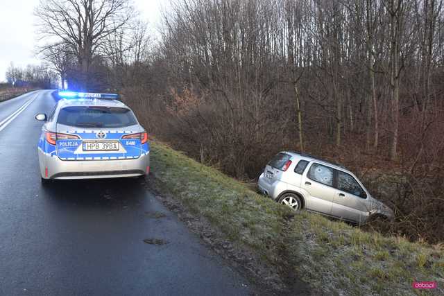 Suzuki wypadło z drogi Dzierżoniów - Świdnica