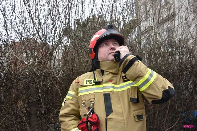 Straż pożarna wezwana do pożaru hali w Bielawie