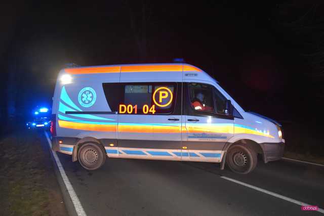 Samochodem dostawczym uderzył w drzewo