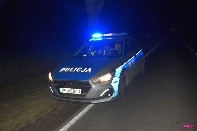 Samochodem dostawczym uderzył w drzewo
