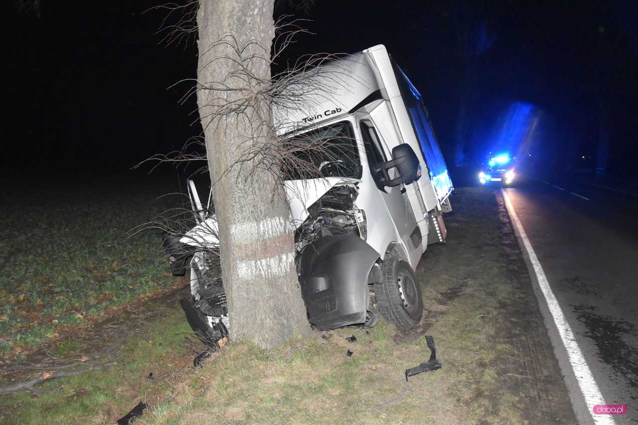 Samochodem dostawczym uderzył w drzewo