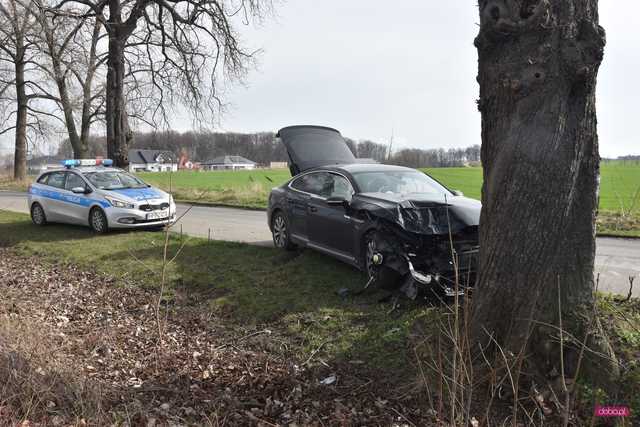 Volkswagenem uderzyła w drzewo