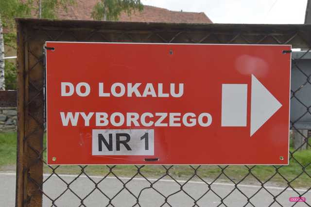 wybory na burmistrza Niemczy