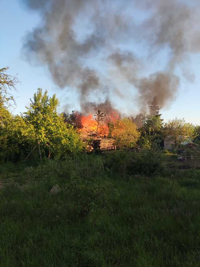 Pożar na terenie ogrodów działkowych w Dzierżoniowie