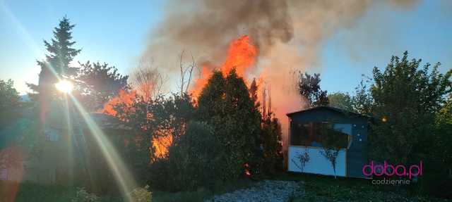Pożar na terenie ogrodów działkowych w Dzierżoniowie