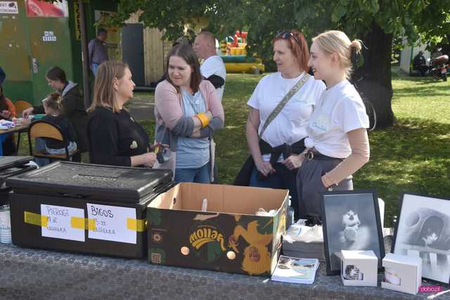 Piknik Europejski w Dzierżoniowie