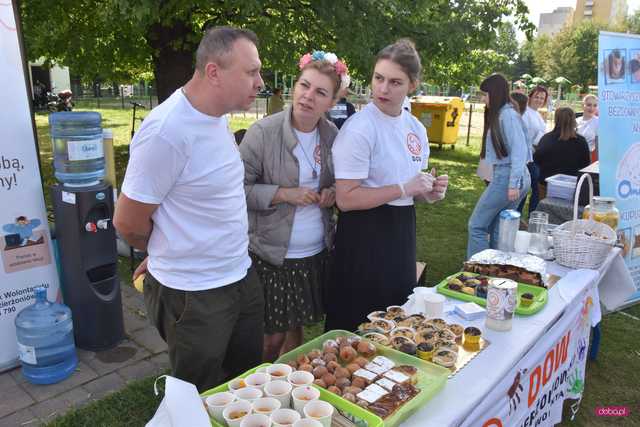 Piknik Europejski w Dzierżoniowie