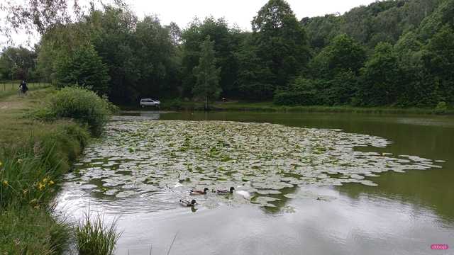 samochód nad zbiornikiem