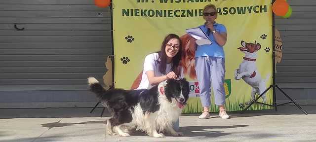 III Wystawa Psów Niekoniecznie Rasowych