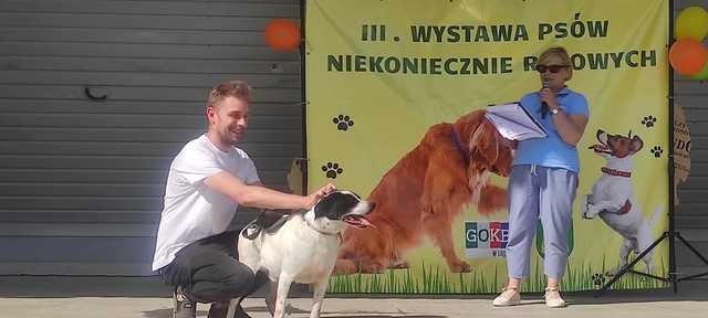 III Wystawa Psów Niekoniecznie Rasowych