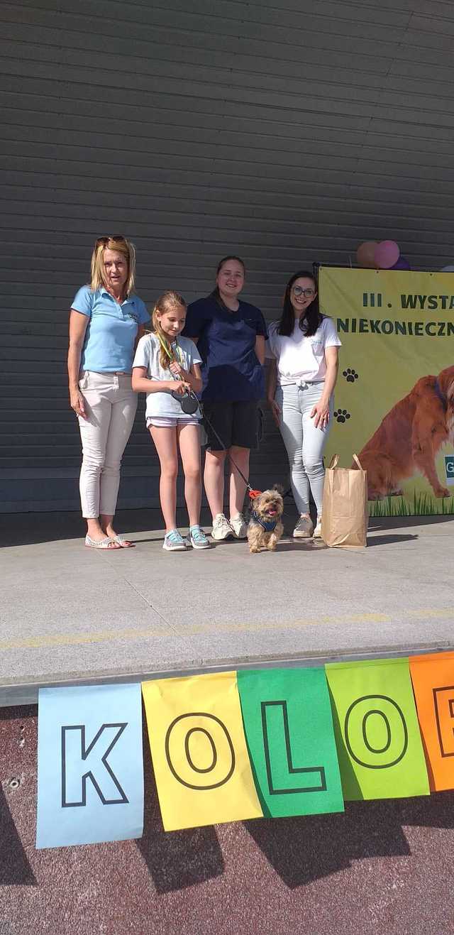 III Wystawa Psów Niekoniecznie Rasowych
