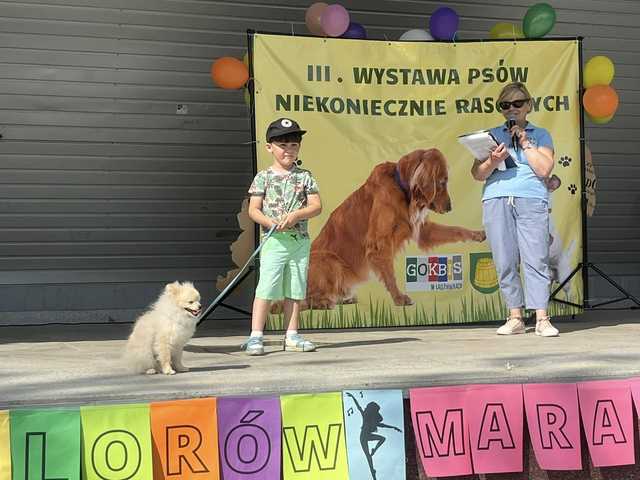 III Wystawa Psów Niekoniecznie Rasowych