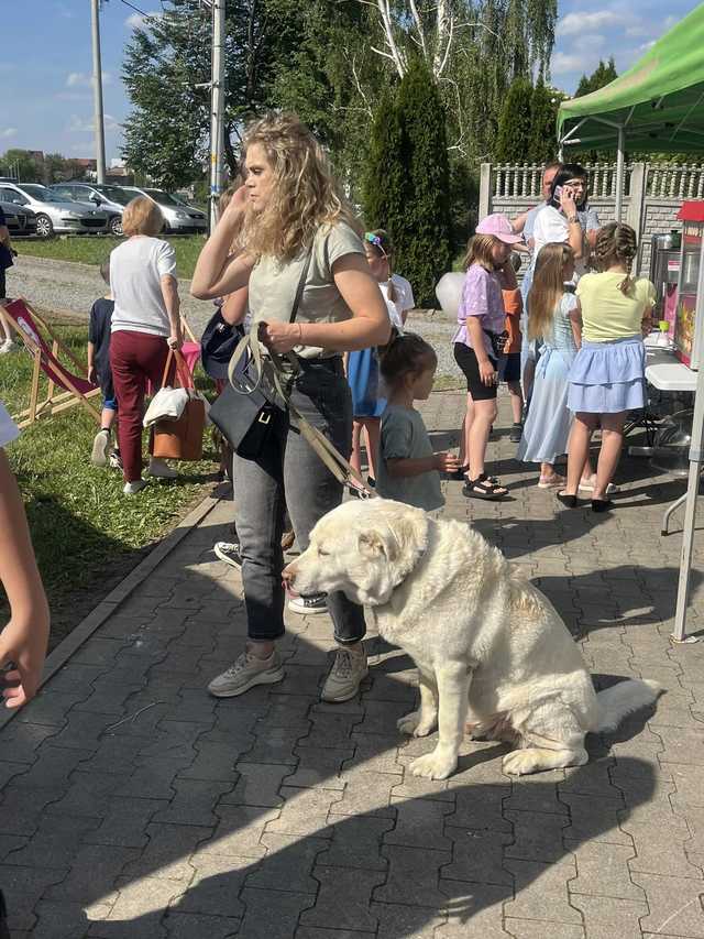 III Wystawa Psów Niekoniecznie Rasowych