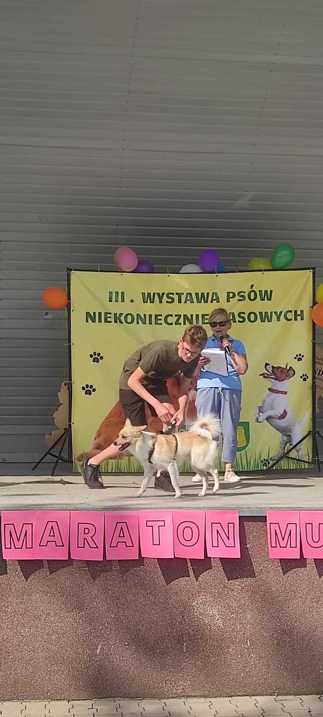 III Wystawa Psów Niekoniecznie Rasowych