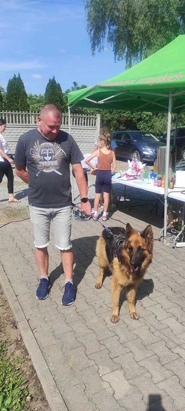 III Wystawa Psów Niekoniecznie Rasowych